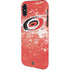 NHL Carolina Hurricanes Frozen iPhone X Pro Case