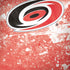 NHL Carolina Hurricanes Frozen iPhone X Pro Case
