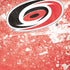 NHL Carolina Hurricanes Frozen iPhone XS Pro Case