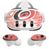NHL Carolina Hurricanes Frozen Meta Quest 3 Skin