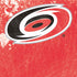 NHL Carolina Hurricanes Frozen Moto E5 Play Skin