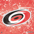 NHL Carolina Hurricanes Frozen PS4 Controller Skin