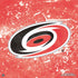 NHL Carolina Hurricanes Frozen PS4 Pro/Slim Controller Skin