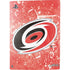 NHL Carolina Hurricanes Frozen PS5 Console Skin