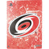 NHL Carolina Hurricanes Frozen PS5 Digital Edition Bundle Skin