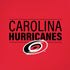 NHL Carolina Hurricanes Lineup iPhone XR Skin