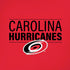 NHL Carolina Hurricanes Lineup iPhone XS Max Skin
