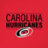 NHL Carolina Hurricanes Lineup iPhone XS Skin
