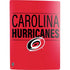 NHL Carolina Hurricanes Lineup PS5 Digital Edition Bundle Skin