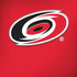 NHL Carolina Hurricanes Solid Background iPhone X Pro Case