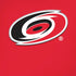 NHL Carolina Hurricanes Solid Background iPhone XR Pro Case