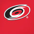 NHL Carolina Hurricanes Solid Background iPhone XS Max Skin