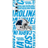 NFL Carolina Panthers - Blast Galaxy Note 10 Skin