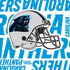 NFL Carolina Panthers - Blast PS4 Console and Controller Bundle Skin