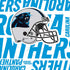 NFL Carolina Panthers - Blast PS4 Pro Bundle Skin