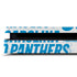 NFL Carolina Panthers - Blast PS4 Slim Skin