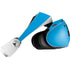 NFL Carolina Panthers Blue Performance Series PlayStation VR2 Skin