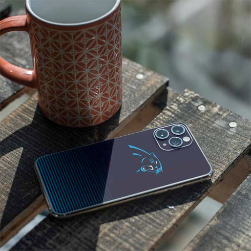 NFL Carolina Panthers Breakaway iPhone 11 Pro Skin