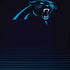 NFL Carolina Panthers Breakaway iPhone X Pro Case
