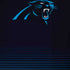 NFL Carolina Panthers Breakaway iPhone X Skin