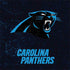 NFL Carolina Panthers Distressed Nintendo 2DS XL (2017) Skin
