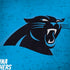 NFL Carolina Panthers Distressed Alternate Legion Y720 Skin