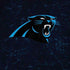 NFL Carolina Panthers Distressed iPhone X Pro Case