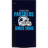 NFL Carolina Panthers Helmet Xbox Series X Console Skin