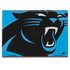 NFL Carolina Panthers Large Logo HP Envy Skin