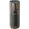 NFL Carolina Panthers Realtree AP Camo Amazon Echo Skin