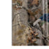 NFL Carolina Panthers Realtree AP Camo Bose Noise Cancelling Headphones 700 Skin