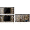 NFL Carolina Panthers Realtree AP Camo DS Lite Skin