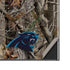 NFL Carolina Panthers Realtree AP Camo Galaxy Note20 Ultra 5G Skin