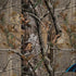 NFL Carolina Panthers Realtree AP Camo Legion Y720 Skin
