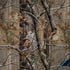 NFL Carolina Panthers Realtree AP Camo Notebook 9 Pro 13in (2017) Skin