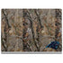 NFL Carolina Panthers Realtree AP Camo Surface Book 2 15in Skin