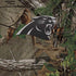 NFL Carolina Panthers Realtree Xtra Green Camo Moto E5 Play Skin