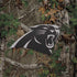 NFL Carolina Panthers Realtree Xtra Green Camo Surface Book 2 15in Skin