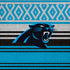 NFL Carolina Panthers Trailblazer iPhone XS Skin