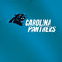 NFL Carolina Panthers Team Jersey iPhone X Pro Case