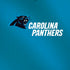 NFL Carolina Panthers Team Jersey iPhone XS Skin
