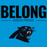NFL Carolina Panthers Team Motto PS4 Controller Skin