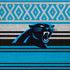 NFL Carolina Panthers Trailblazer iPhone XR Skin
