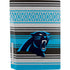 NFL Carolina Panthers Trailblazer PS5 Bundle Skin