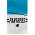 NFL Carolina Panthers White Striped PS5 Slim Digital Edition Bundle Skin