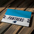 NFL Carolina Panthers White Striped Surface Pro 6 Skin