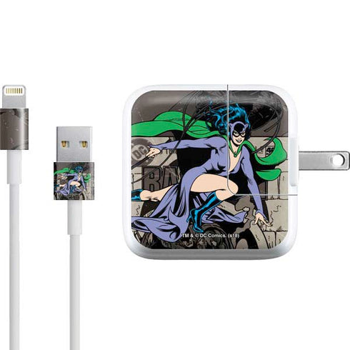 DC Comics Catwoman Vintage Action Pose Pattern iPad Charger (10W USB) Skin
