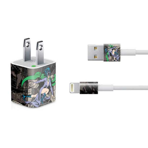 DC Comics Catwoman Vintage Action Pose Pattern iPhone Charger (5W USB) Skin