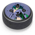 DC Comics Batman Catwoman Classic Art Pose Amazon Echo Dot Skin