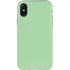Celadon Solid iPhone X Pro Case
